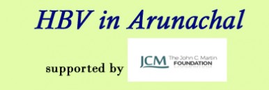 A community based delivery of comprehensive HBV care in Arunachal Pradesh, India – Population screening and linkage to care